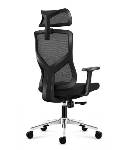Mark Adler Ergonomická kancelárska stolička, výškovo nastaviteľná, opierka hlavy a bedrová opierka, materiál sieťovina, čierna